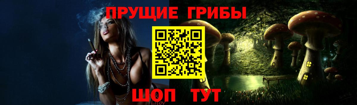 Псилоцибиновые грибы мицелий Баксан