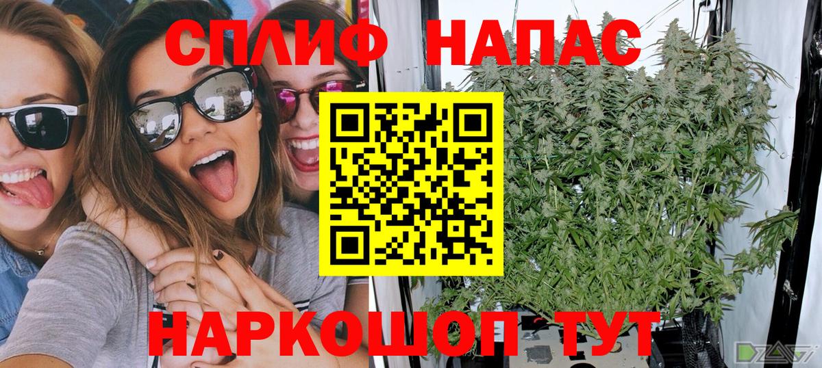 Марихуана Bruce Banner Баксан